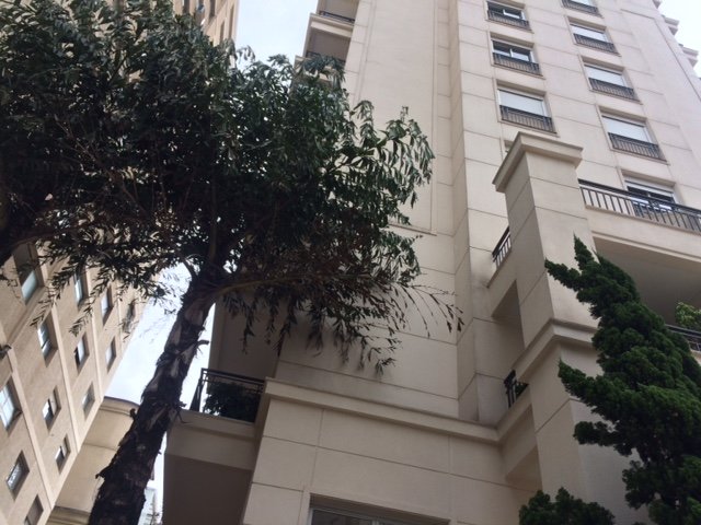 Studio - Aluguel - Higienópolis - São Paulo - SP